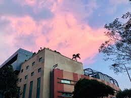 Phần Mềm Tiếp Thị Thể Thao 7