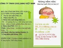 Sản xuất Zhiliang Việt Nam 9