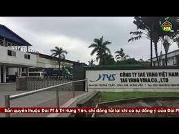 Taeyang Việt Nam 10