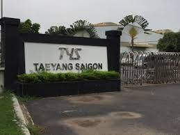 Taeyang Việt Nam 9