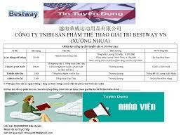 Bestway Việt Nam 2
