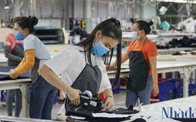 MTV Kad Industrial S.A Việt Nam 2