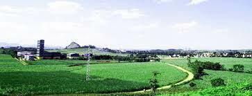 Mía Đường Lam Sơn 3