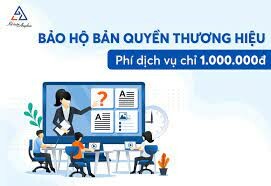 Dịch vụ tư vấn Anpha 10