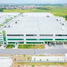 Star Invest Việt Nam 9