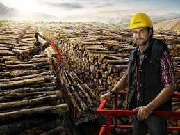 Palfinger Marine Việt Nam 6