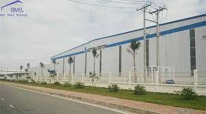 Settsu Carton Việt Nam 1