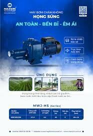 Maxwin Việt Nam 10