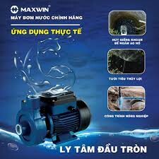Maxwin Việt Nam 2