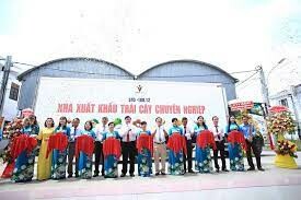 XUẤT NHẬP KHẨU VINA T&T 8