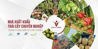 XUẤT NHẬP KHẨU VINA T&T 7