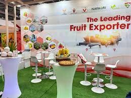 XUẤT NHẬP KHẨU VINA T&T 4