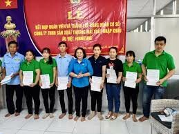 Xuất Nhập Khẩu Âu Việt Furniture 10