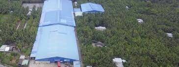 Xuất Nhập Khẩu Âu Việt Furniture 2