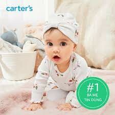 Carter’s Vietnam 2