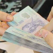 Giầy Stateway Việt Nam 4