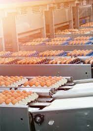 Đầu Tư Thascom 9