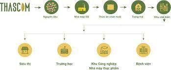 Đầu Tư Thascom 8