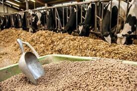 Đầu Tư Thascom 5