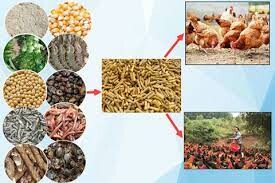 Đầu Tư Thascom 1