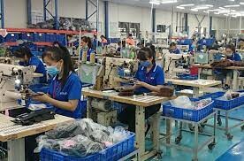 Công Ty Quốc Tế Tri - Viet 6