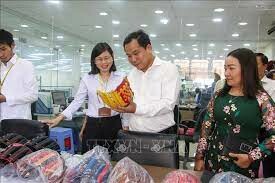 Công Ty Quốc Tế Tri - Viet 5