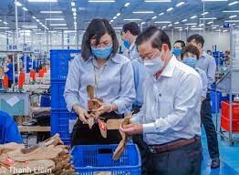 Công Ty Quốc Tế Tri - Viet 4