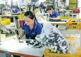 Công Ty Quốc Tế Tri - Viet 3