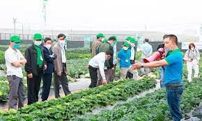 Sản Xuất Bejo Việt Nam 6