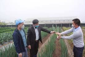 Sản Xuất Bejo Việt Nam 4