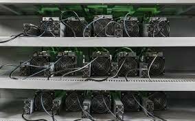 Bitmain Việt Nam 2