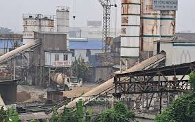 Bê Tông Châu Âu Deco 5