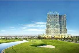 Xây dựng Thành Đô 5