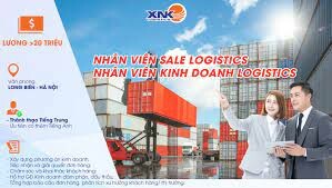 Logistics XNK 10