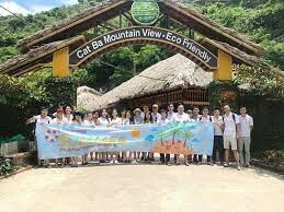 DICH VỤ ECOMMAGE 5