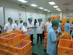 Cuộc Sống Tốt Lành (GOODLIFE) 6