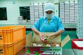 Cuộc Sống Tốt Lành (GOODLIFE) 4