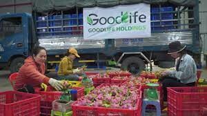 Cuộc Sống Tốt Lành (GOODLIFE) 1