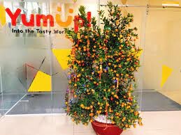 Công Nghệ Yumup VIệt Nam 7