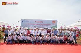 Xây Dựng Bông Sen Vàng 2