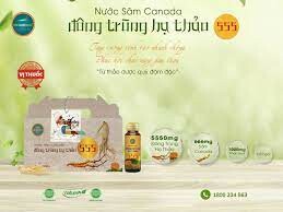 Dược Thảo Kim Cương Vàng 1