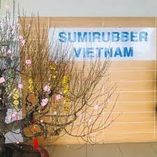 Sumirubber 9