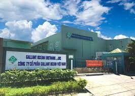 Gallant Ocean Việt Nam 10