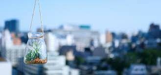 Tương Lai Thông Minh Nhật Việt 1