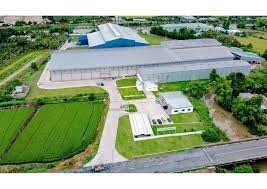 Ricegrowers Việt Nam 4