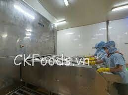 Ck Frozen Foods Việt Nam 5