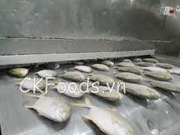 Ck Frozen Foods Việt Nam 3