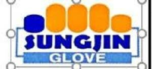 Sungjin Nice Việt Nam 3