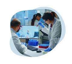 Infomed Việt Nam 2