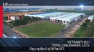 Công Ty  Melvgroup 8